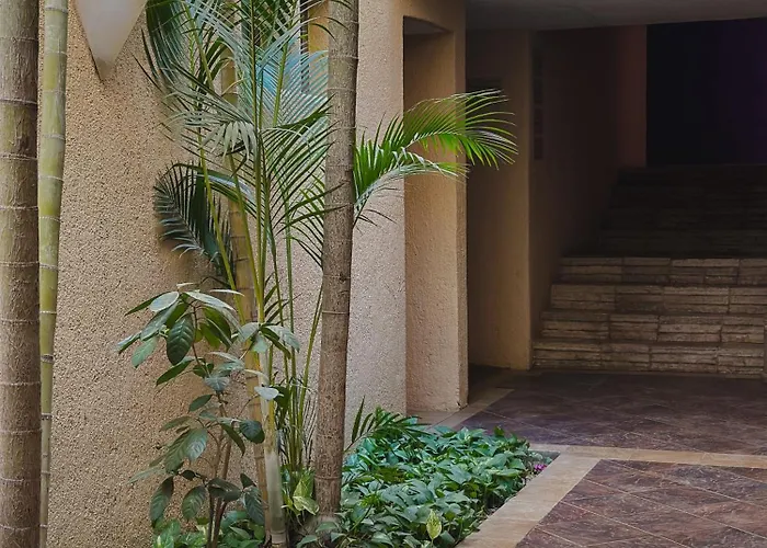 Hotel Patios 4*